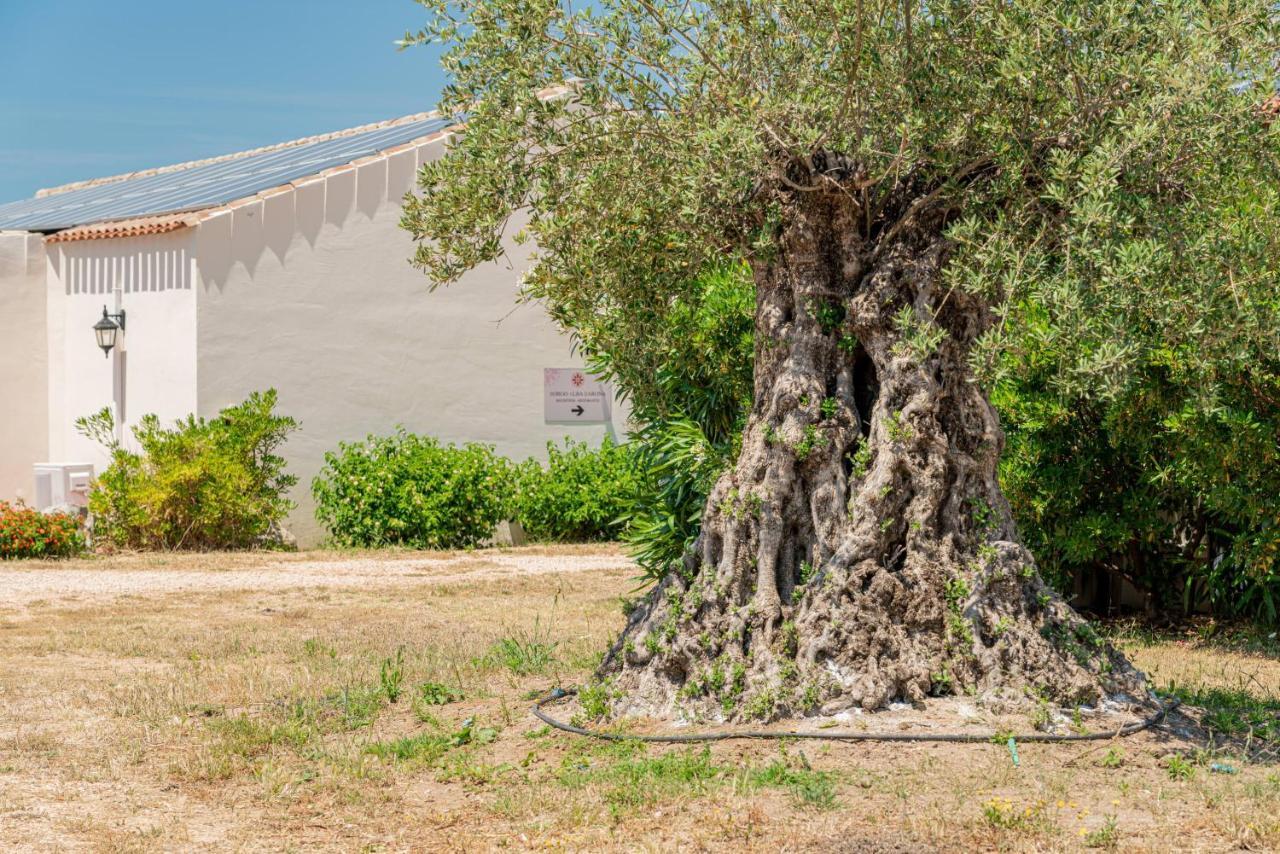 Borgo Alba Barona Turismo Rurale Golfo Aranci Εξωτερικό φωτογραφία